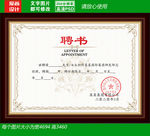 聘书证书模板