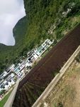 田园风光