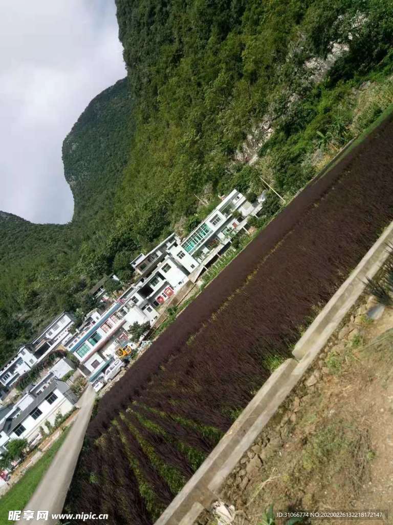 田园风光
