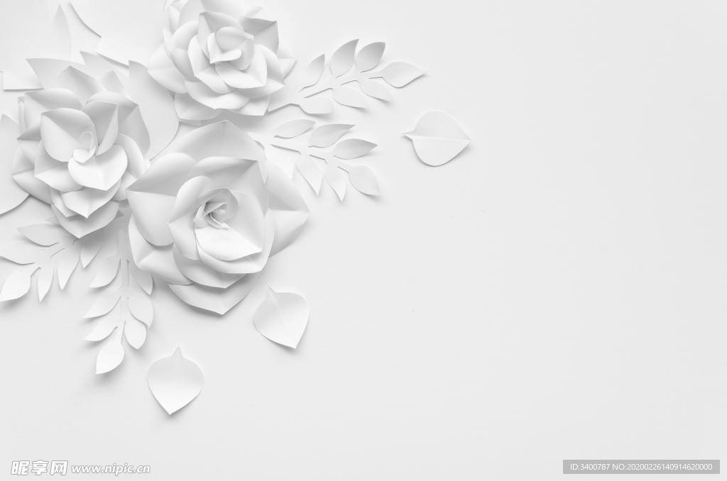 白玫瑰 纸雕
