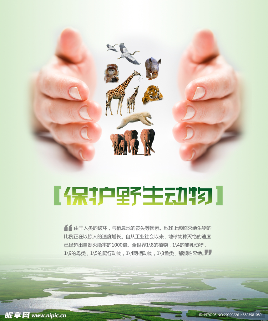 保护动物