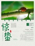 惊蛰节气 海报