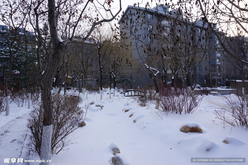 冬天住宅小区里的园林雪景