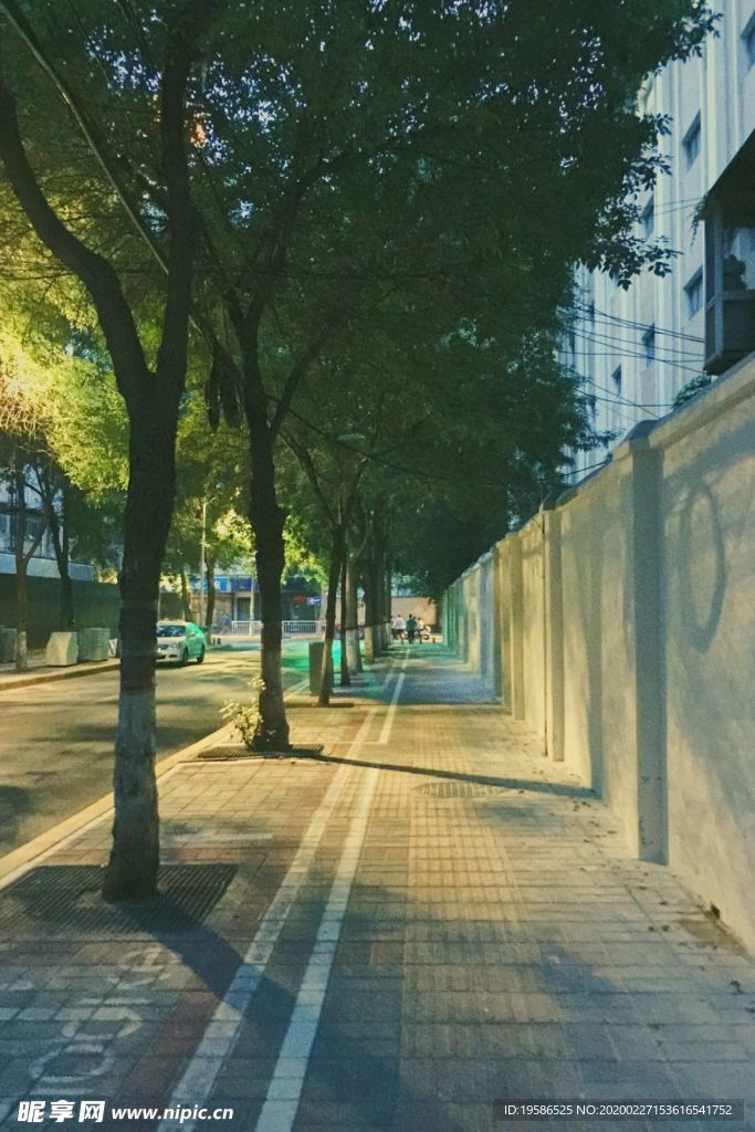 城市建筑 夜景 路 城市风景