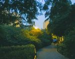 城市建筑 夜景 路 城市风景