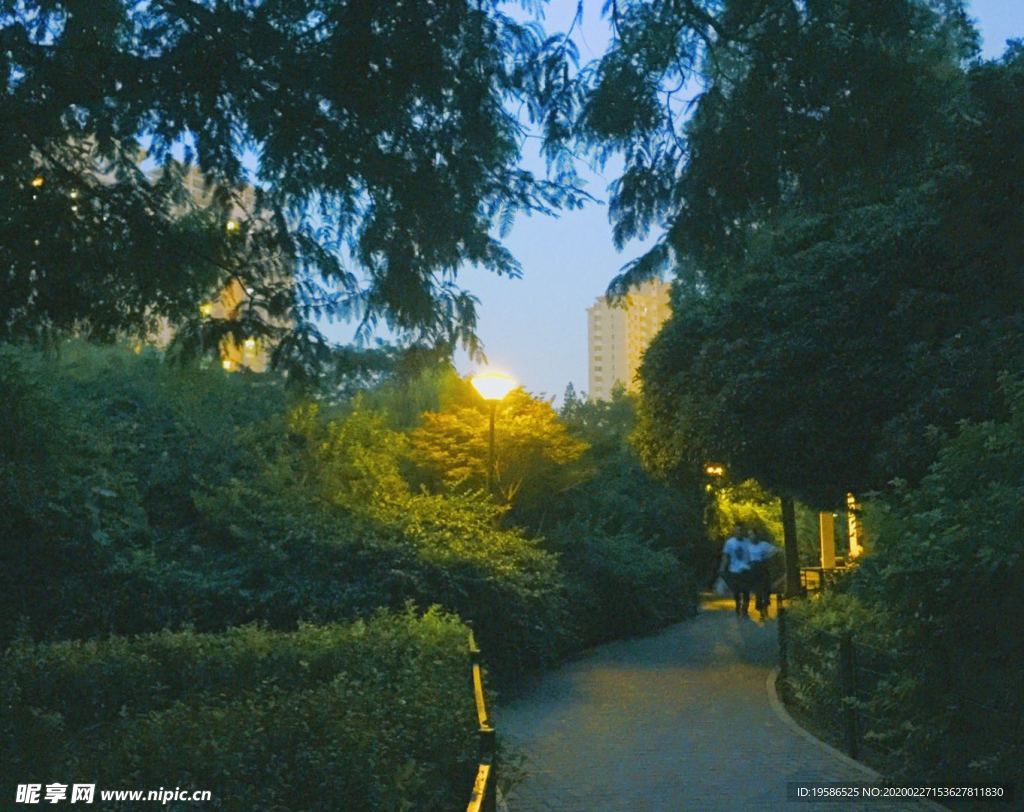 城市建筑 夜景 路 城市风景