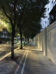 城市建筑 夜景 路 城市风景