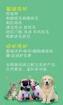 宠物洗护