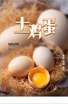 简约土鸡蛋宣传促销海报
