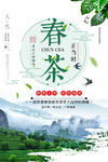 春茶