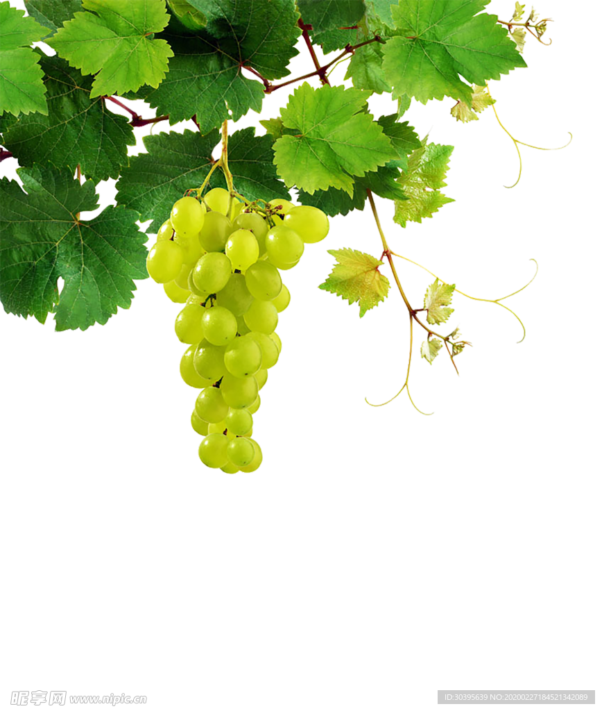 水果