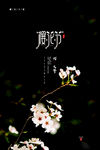 樱花节