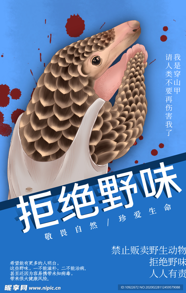 拒绝野味 公益广告