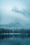 雪山雾气湖面树影寒冬