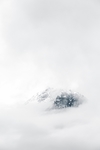 雪雨漫山峰