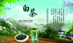 白茶