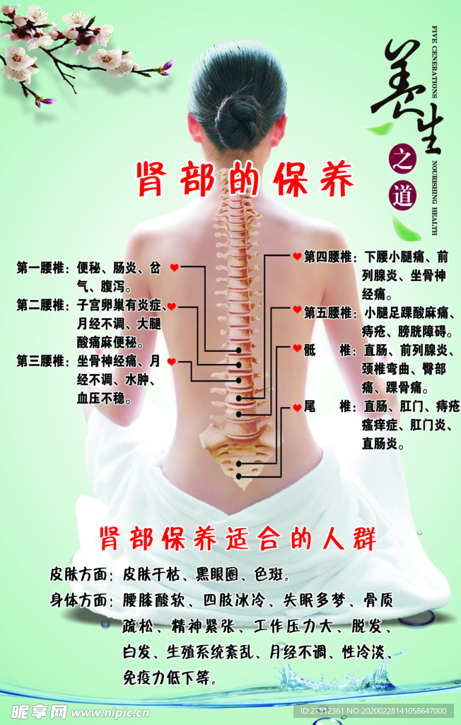 养生养肾展板设计