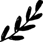手绘植物枝干