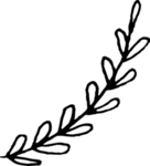 手绘植物枝干