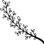 手绘植物枝干