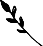 手绘植物枝干