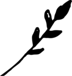 手绘植物枝干