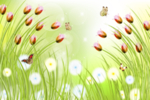 郁金香花朵花卉