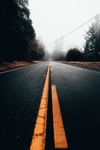 公路森林