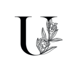 创意U英文设计