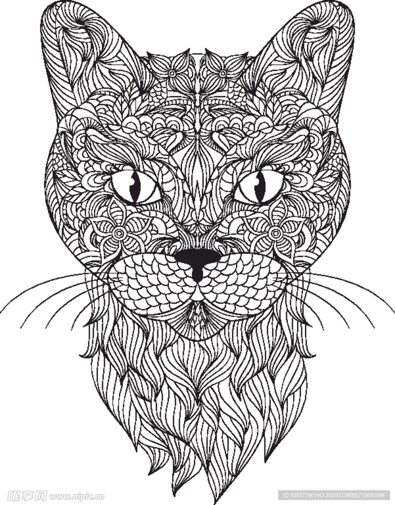 设计猫