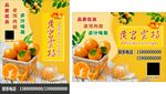 清爽橘子水果新鲜蜜桔