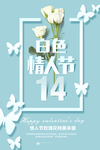 白色情人节