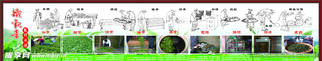 制茶工艺