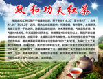 政和功夫红茶