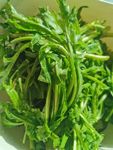 茼蒿