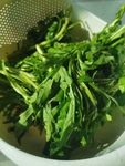 茼蒿