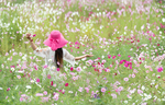 花海美女背影