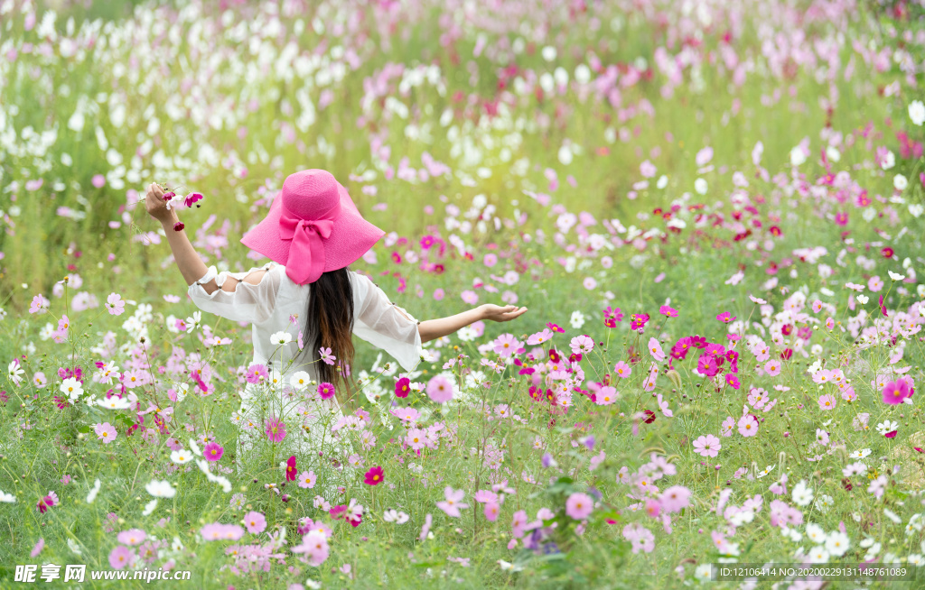 花海美女背影