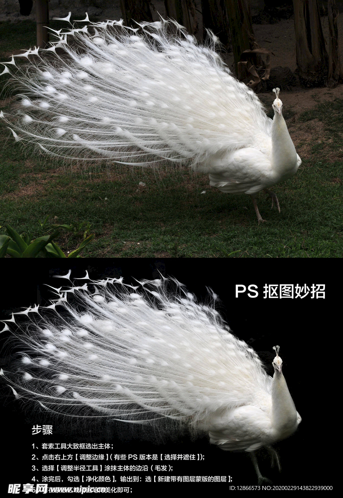 五秒抠万物