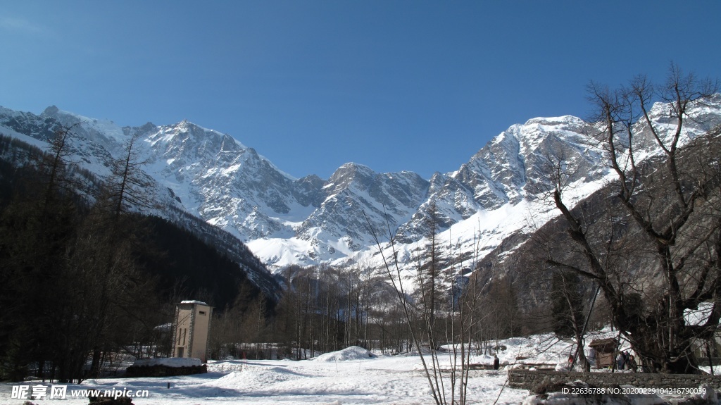 雪景