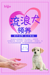 宠物领养海报