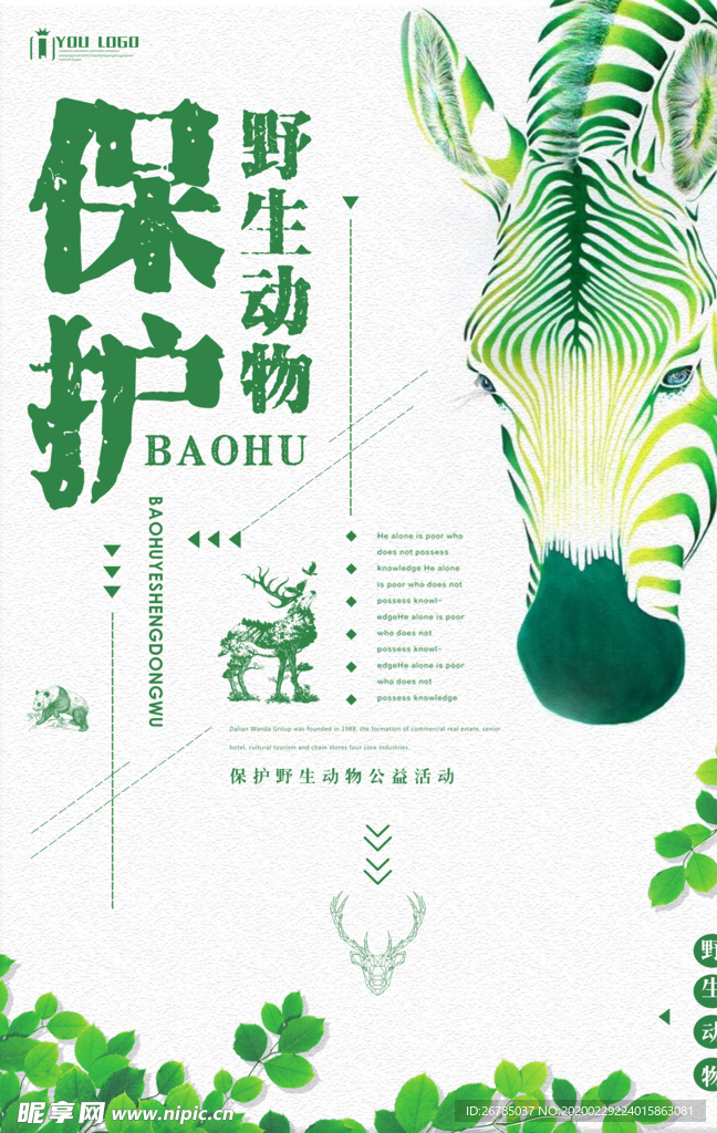 保护野生动物公益海报