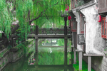 上海枫泾古镇