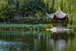 北京陶然亭浸月亭