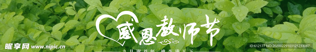 教师节banner