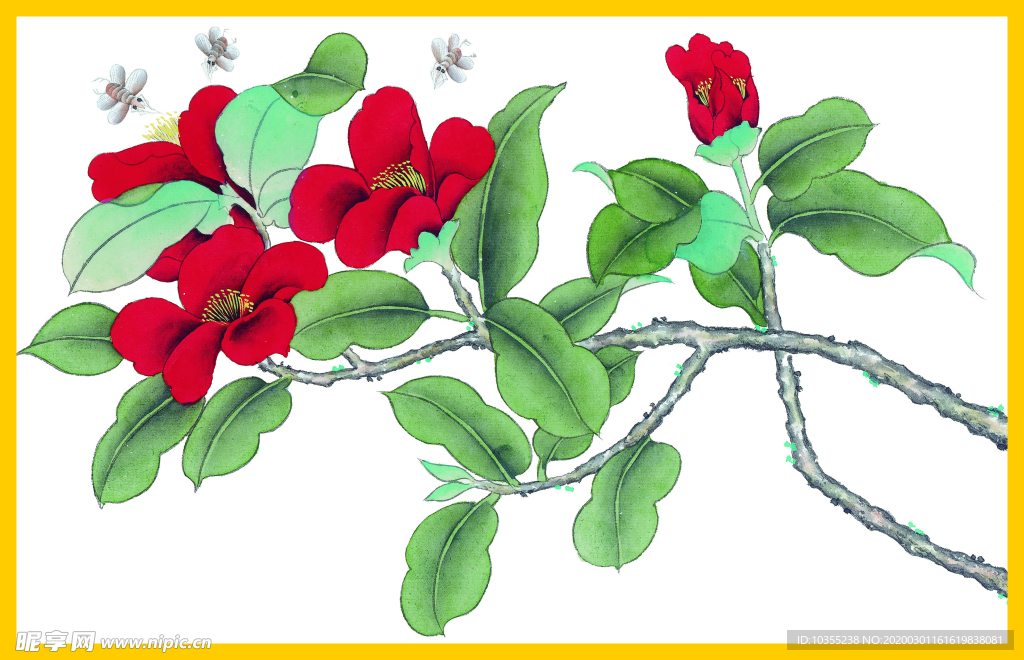 花鸟画