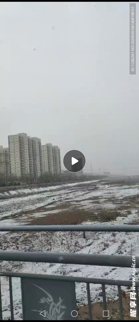 春雪