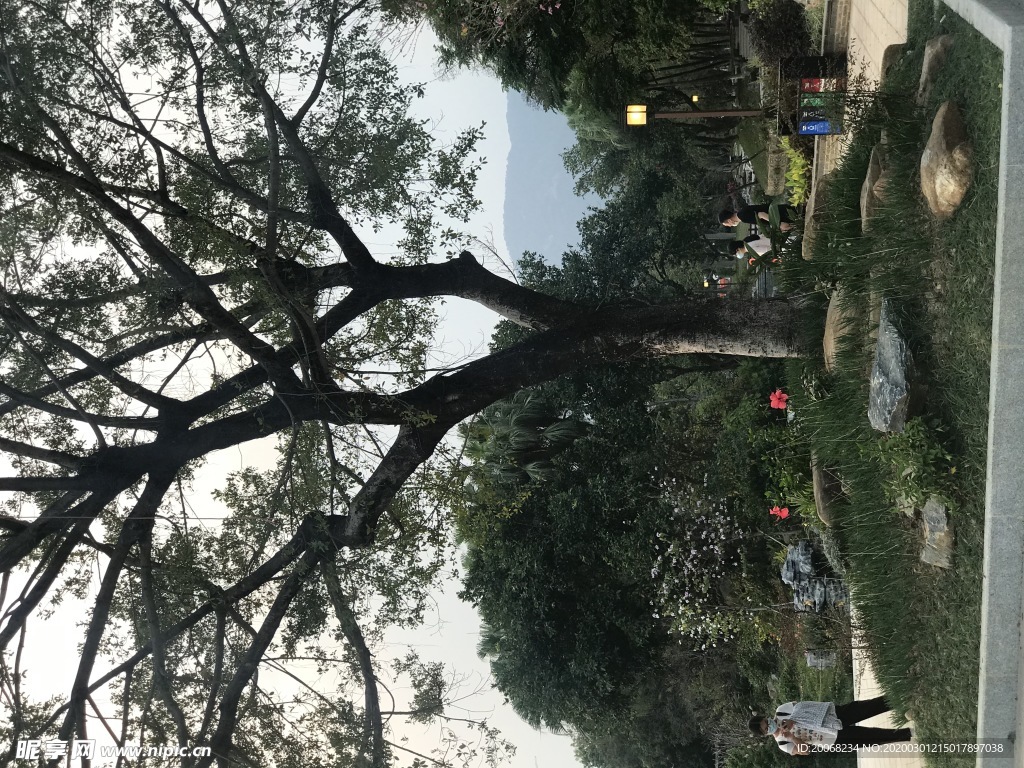 园林