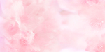 樱花节