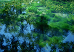 水